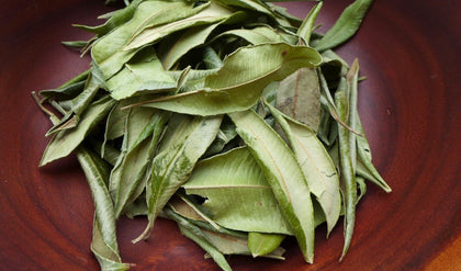 lemon myrtle leaves