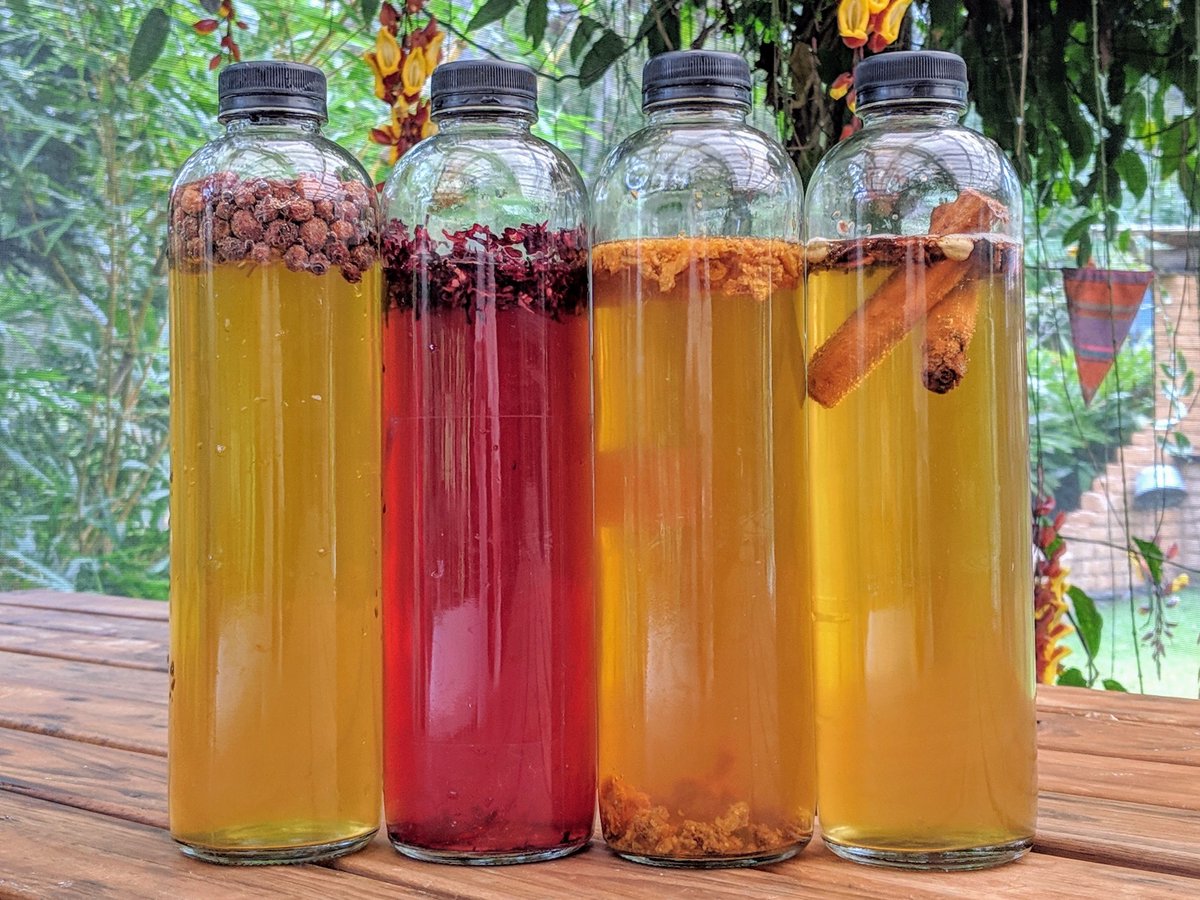 Herbal Kombucha Recipes - Mudbrick Herb Cottage