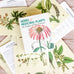 Herbs and Medicinal Plants Knowledge Cards