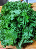 Kale - Dwarf Blue Curled Kale