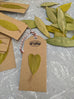 Lemon Myrtle