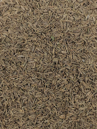 Caraway Seed