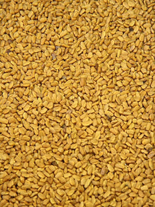 Fenugreek