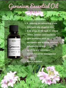 Geranium Essential Oil Benefits