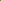 Greater Celandine