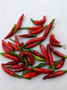 Chilli Thai