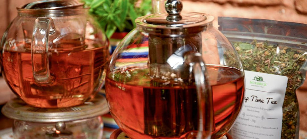 Glass teapots of herbal tea brewing at Mudbrick Herb Cottage