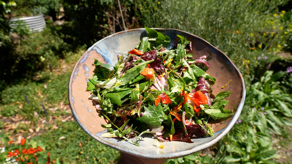 Spring Detox Salad