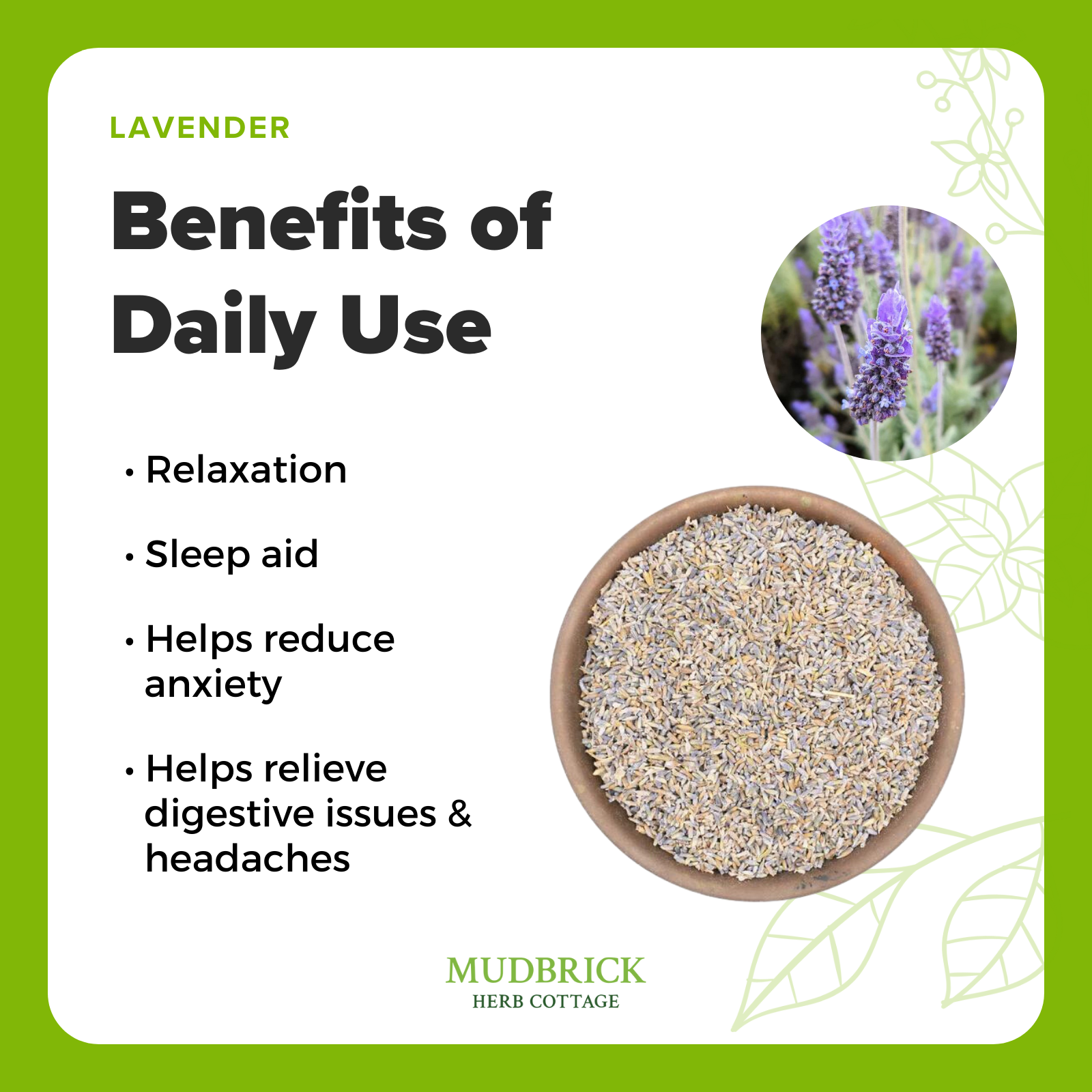 Dried lavender uses deals
