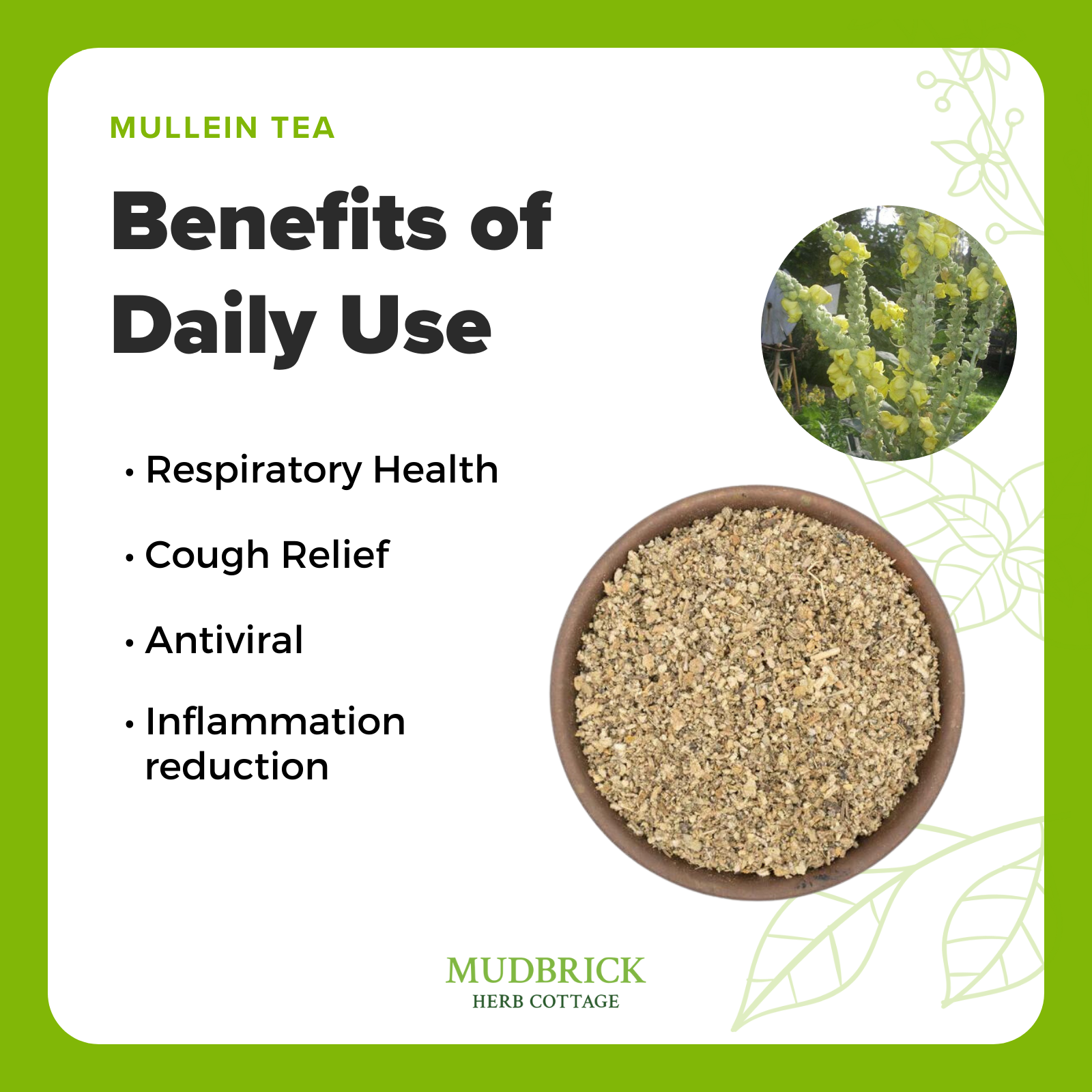 Buy Organic Mullein Leaf Tea Loose Herbal Tea Leaves Mudbrick Herb Cottage