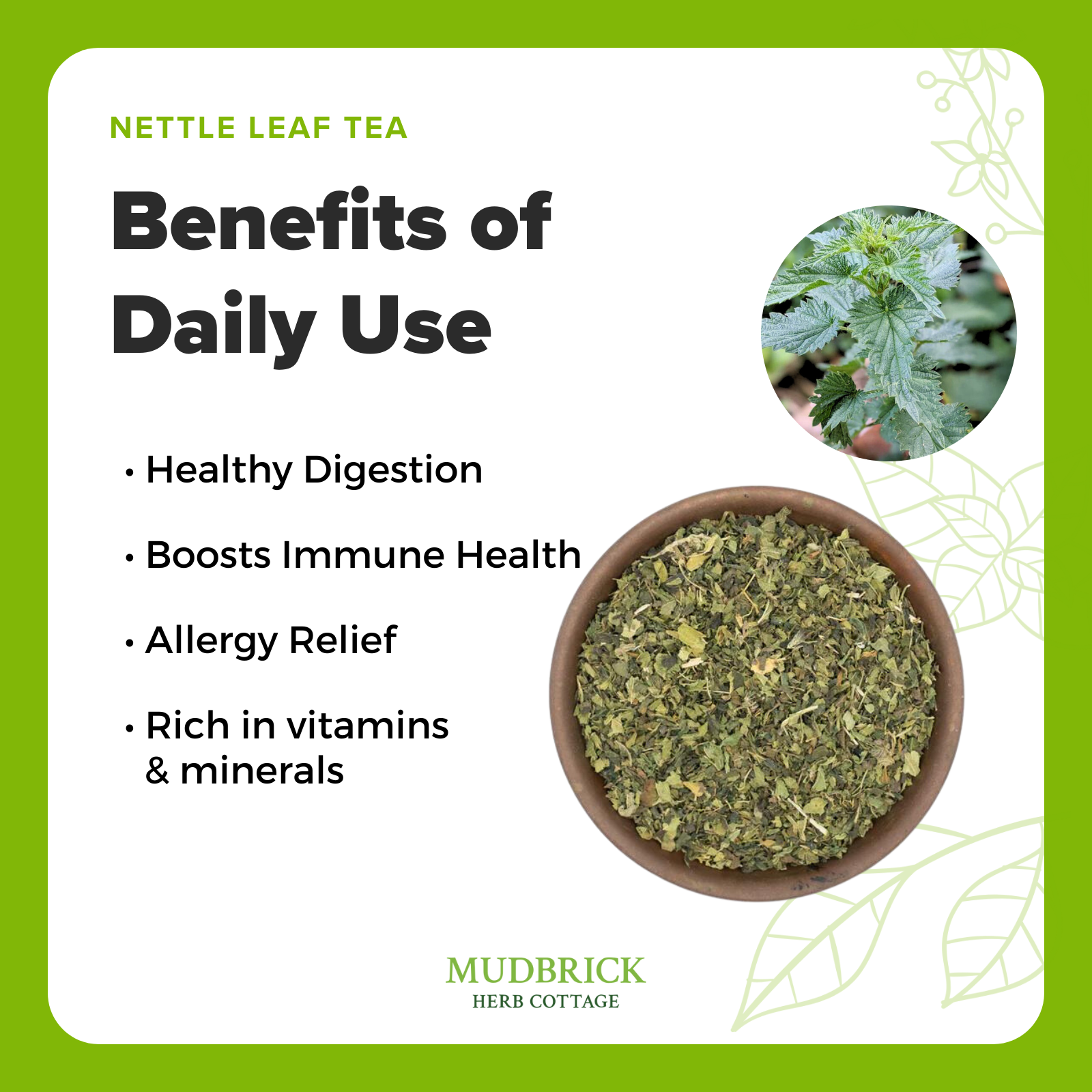 Organic Nettle Tea Buy Dried Stinging Nettle Tea Online Mudbrick