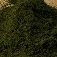 Chlorella Powder