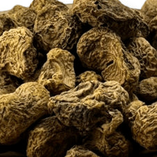 Corydalis Root