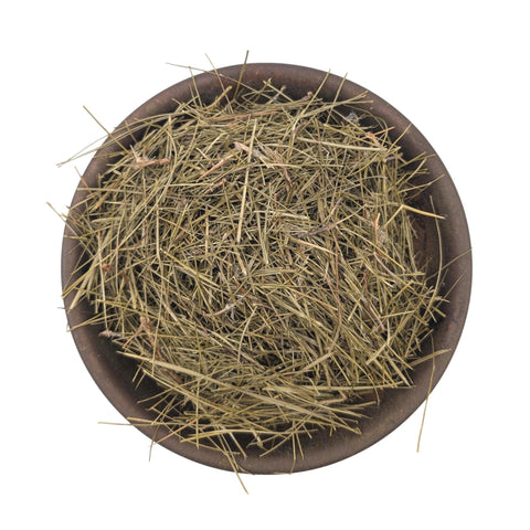 Pine Needle Tea