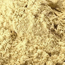 Shatavari Powder