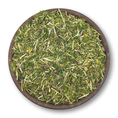 Skullcap Tea - Australian Grown