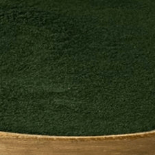 Spirulina Powder