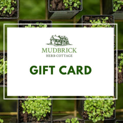 Mudbrick Herb Cottage Gift Card