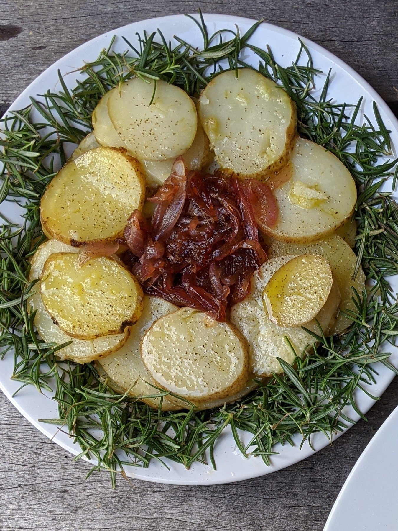 Organic Herb Cottage Rosemary Rosmarinus officinalis Plant Mudbrick Herb Cottage