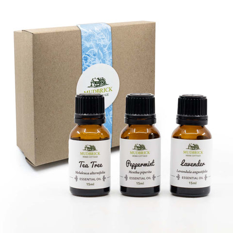 3 First Aid Essential Oils