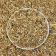 Angelica Root