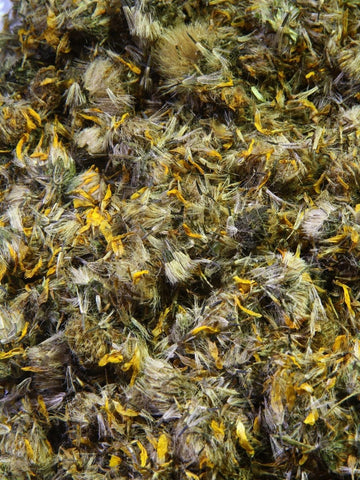 Arnica