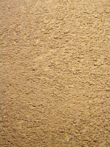 Astragalus Powder