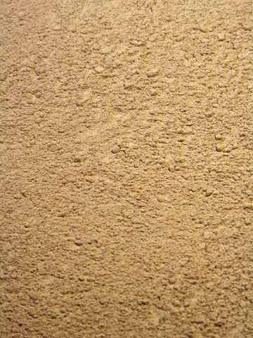 Astragalus Powder