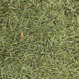 Rosemary - Australian Grown