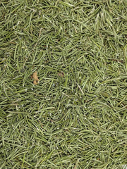 Rosemary - Australian Grown