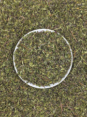 Thyme - Australian Grown