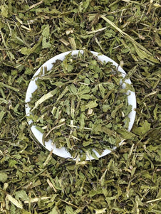 Vervain - Australian Grown