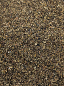 Bladderwrack