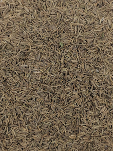 Caraway Seed