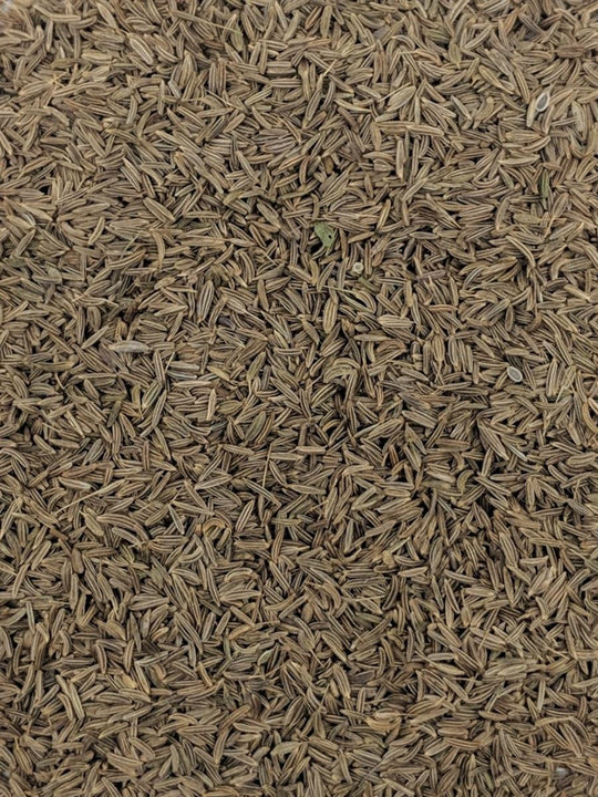 Caraway Seed | Organic | 50g, 200g, 500g - Mudbrick Herb Cottage