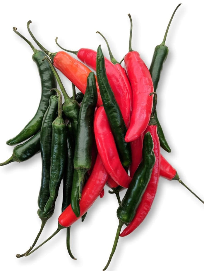 Chilli Long Red – Mudbrick Herb Cottage