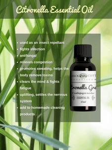 benefits of citronella essential oil