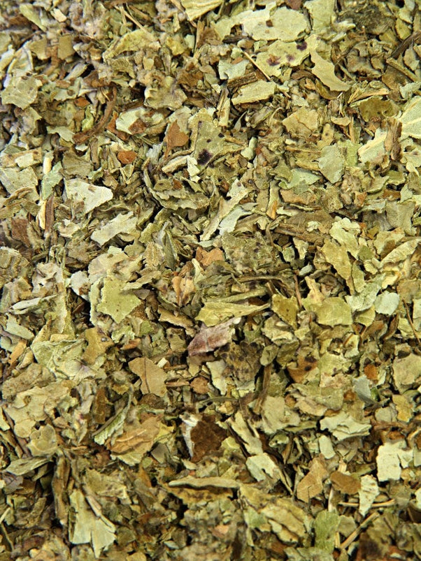 middle east tobacco Middle East Tobacco Products Market Size, Share and Trends Analysis Report – Industry Overview and Forecast to 2032