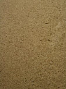 Dong Quai - Root Powder