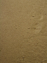 Dong Quai - Root Powder