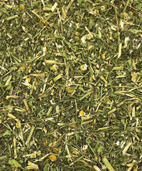 Feverfew Aerials - Australian Grown