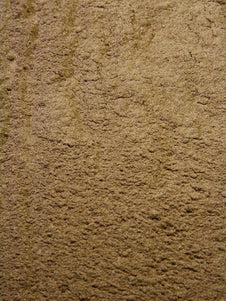 Graviola Powder