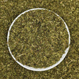 Gymnema Sylvestre