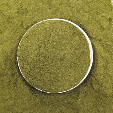 Organic Moringa Leaf Powder (Moringa oleifera) | Herb Cottage ...