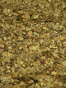 Neem