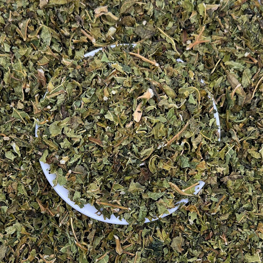 Paw Paw Leaf Dried Carica papaya Mudbrick Herb Cottage