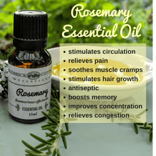 Rosemary Essential Oil