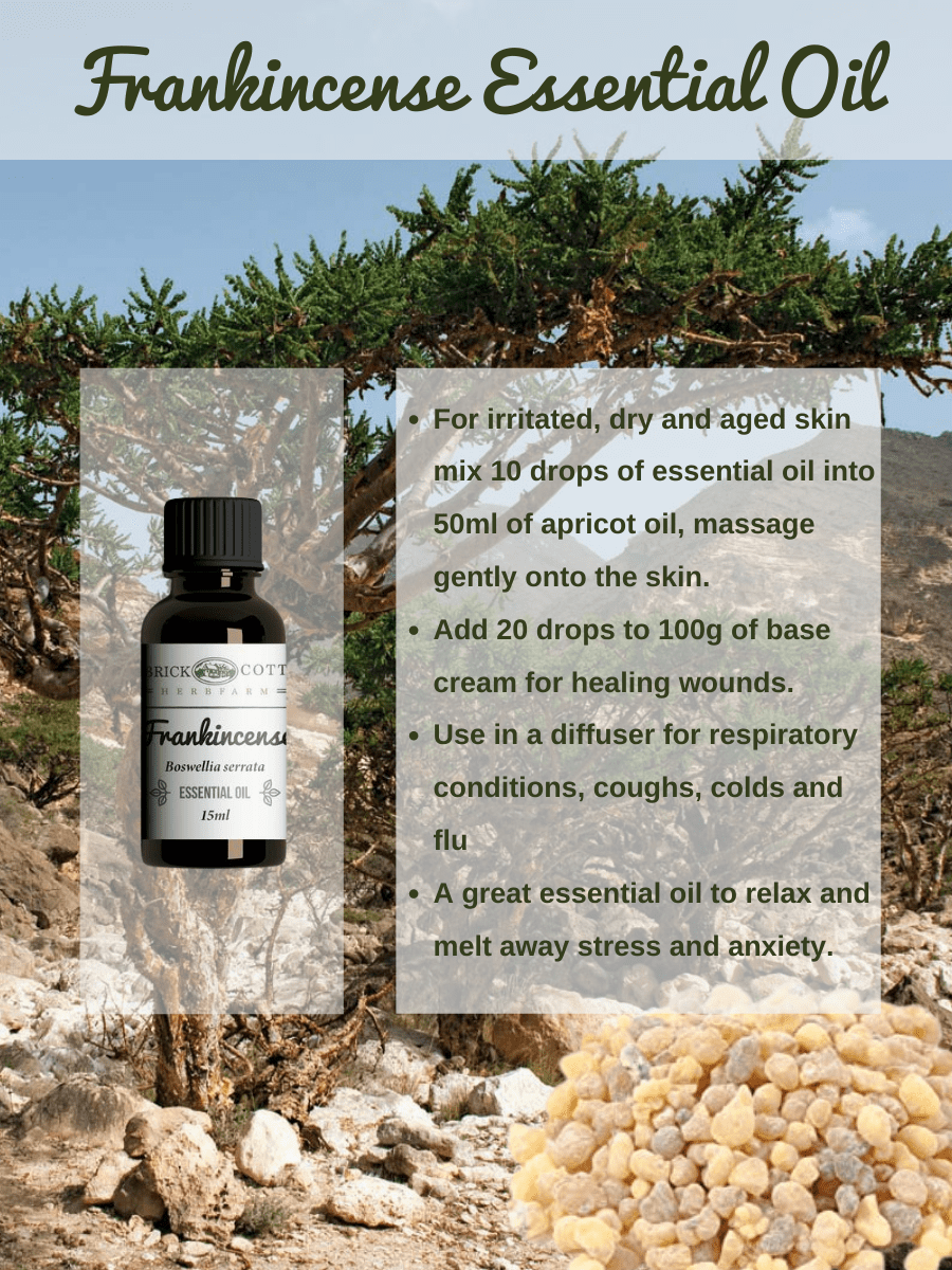 Frankincense Essential Oil, Certified Organic - Mudbrick Herb Cottage