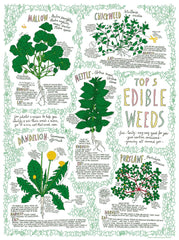 Top 5 Edible Weed Poster