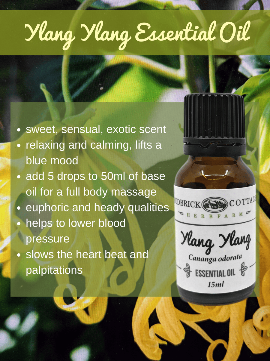 Benefits of ylang ylang essential oil deals